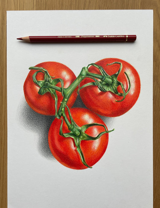 READY TO VIEW! Tomato Trio Drawing Video