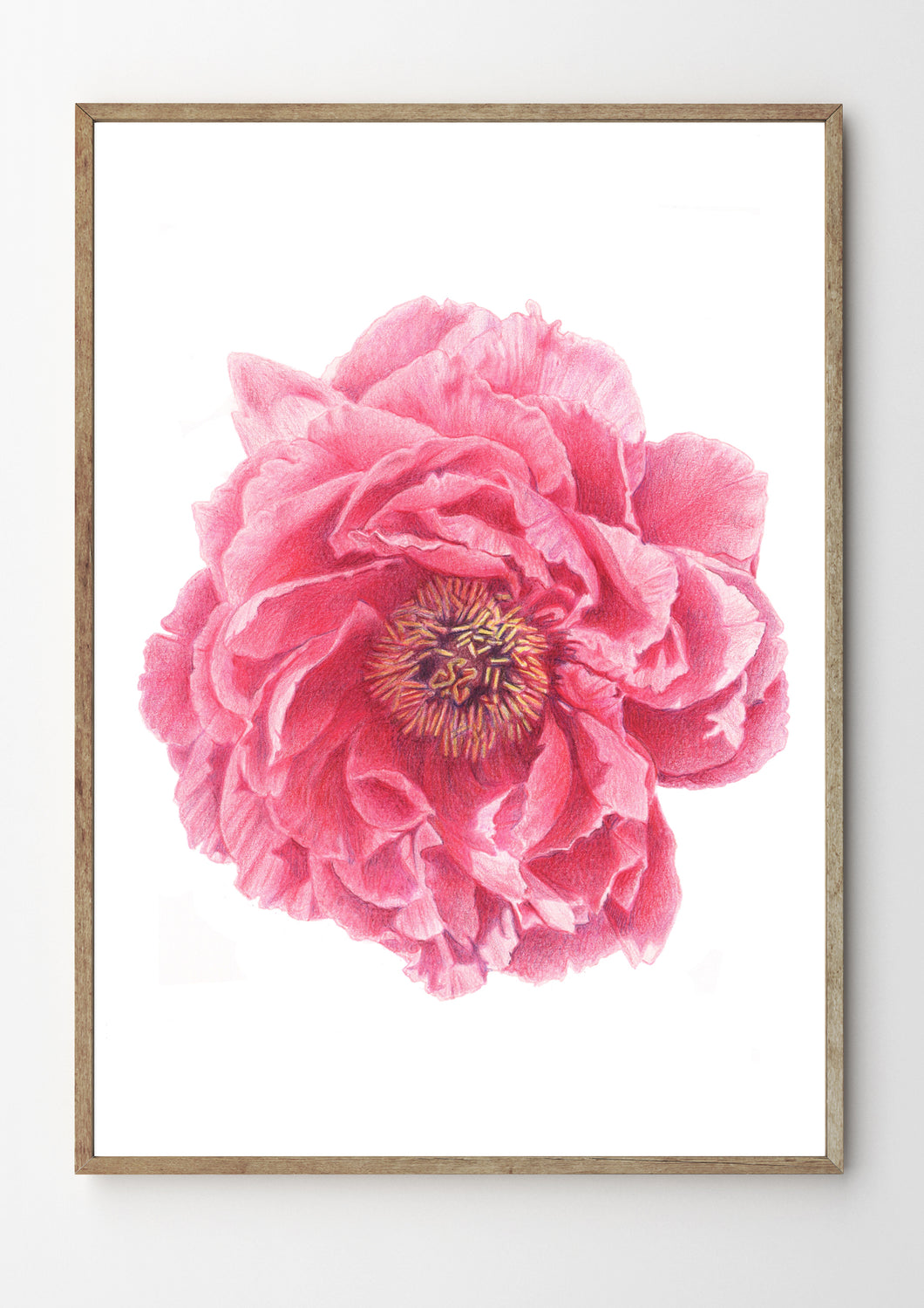 Peony