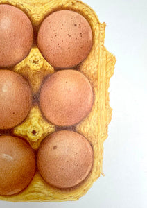 Egg Box - Original Hand Drawing