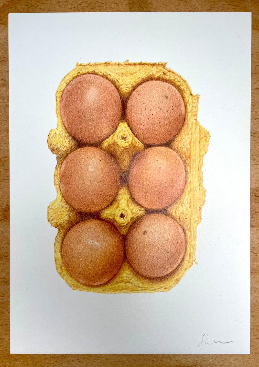 Egg Box - Original Hand Drawing