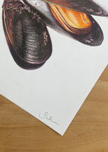 Load image into Gallery viewer, Mussels - Original Hand Drawing