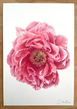 Load image into Gallery viewer, Peony - Original Hand Drawing