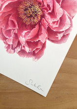 Load image into Gallery viewer, Peony - Original Hand Drawing