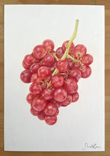 Load image into Gallery viewer, Bunch of Grapes - Original Hand Drawing