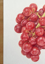 Load image into Gallery viewer, Bunch of Grapes - Original Hand Drawing