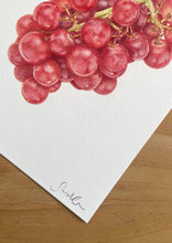 Load image into Gallery viewer, Bunch of Grapes - Original Hand Drawing