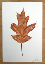 Load image into Gallery viewer, Autumn Leaf - Original Hand Drawing