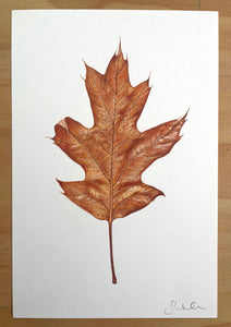 Autumn Leaf - Original Hand Drawing