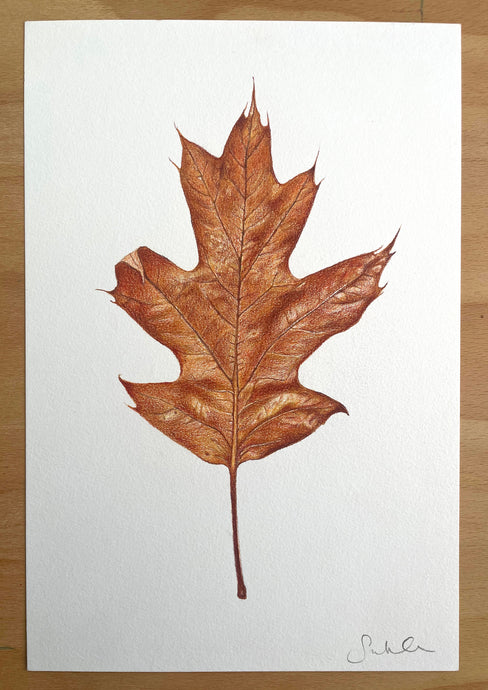 Autumn Leaf - Original Hand Drawing