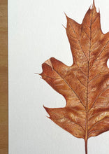 Load image into Gallery viewer, Autumn Leaf - Original Hand Drawing