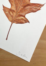 Load image into Gallery viewer, Autumn Leaf - Original Hand Drawing