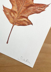 Autumn Leaf - Original Hand Drawing