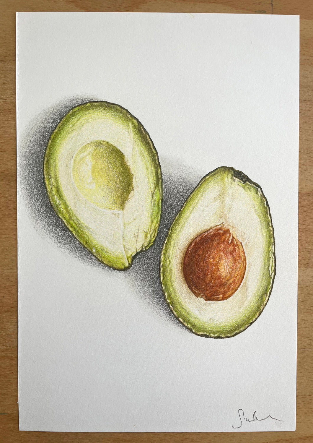 Avocado - Original Hand Drawing