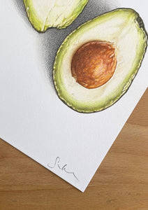 Avocado - Original Hand Drawing